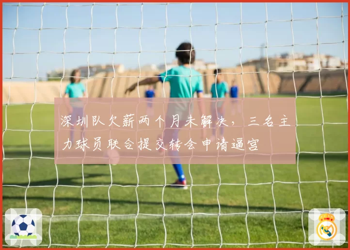深圳队欠薪两个月未解决，三名主力球员联合提交转会申请逼宫