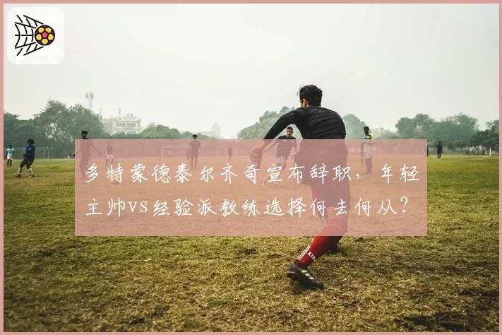 多特蒙德泰尔齐奇宣布辞职，年轻主帅vs经验派教练选择何去何从？